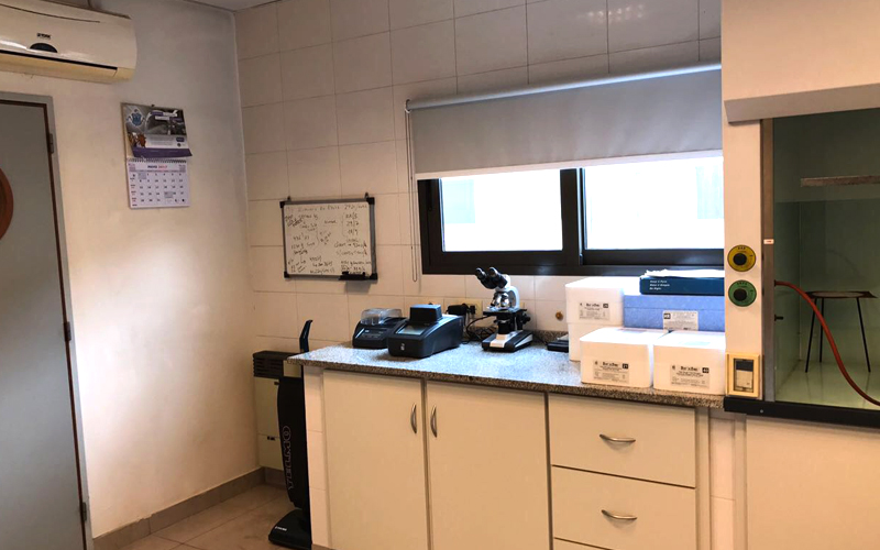 Laboratorio Image